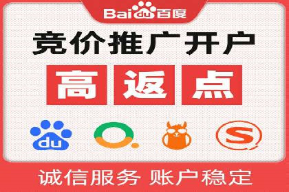 SEM推广策略：成功案例解析与效果评估
